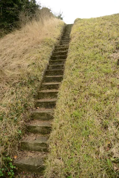 DSC_1318 (Large).JPG